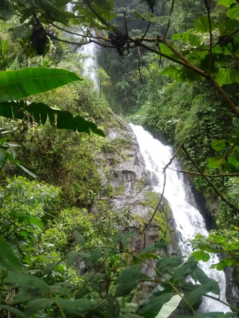 Waterfall Tour Green Pedal Tours