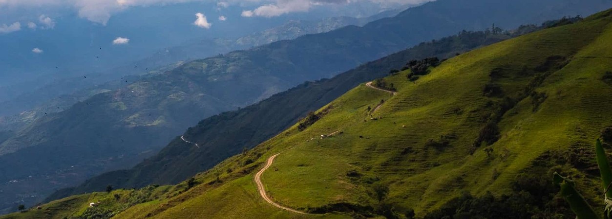 Medellin Apus Nutabe Event Green Pedal Tours