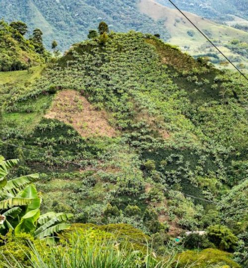 13. Coffee Route Green Pedal Tours