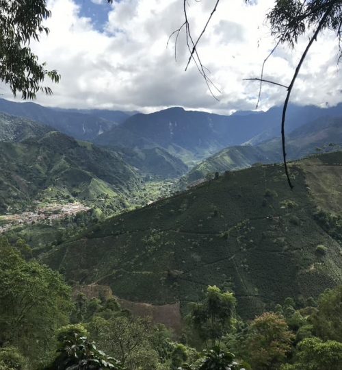 2. Coffee Route Green Pedal Tours