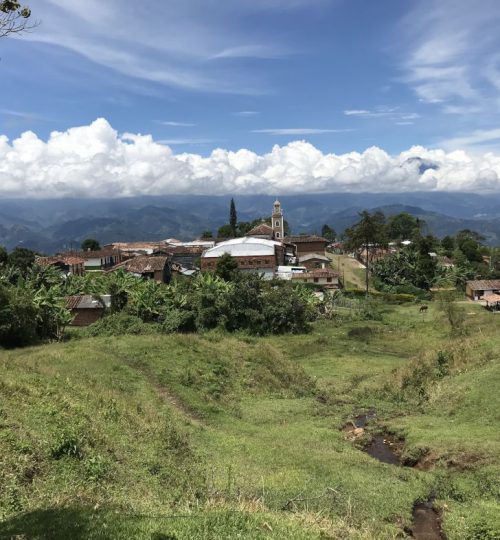 22. Coffee Route Green Pedal Tours