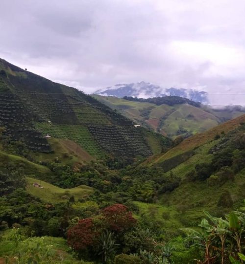 7. Waterfall Tour Green Pedal Tours